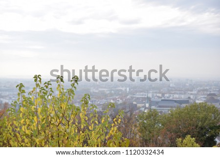 Freiburg City Landscapes
