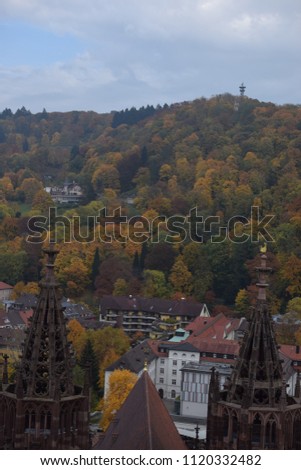 Freiburg City Landscapes