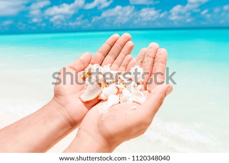 Man holing sea shells in his hands. Holidays photo. Blue sea. 