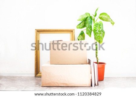 Boxes for moving , flower in a pot, old frame for a picture on a white backgroud Garage sale and moving concept Copy space