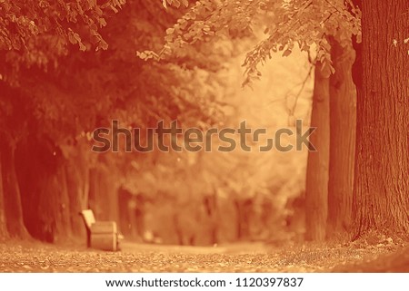 sepia. landscape in the autumn park / monochrome image of trees and alley in the city park. Black and white poster, orange landscape autumn walk  Indian summer. Warm tones of autumn  forest November