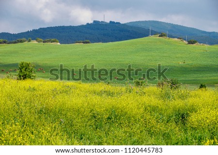 countryside landscapes in Basilicata
