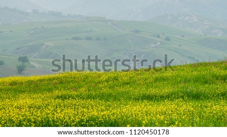 countryside landcapes in basilicata
