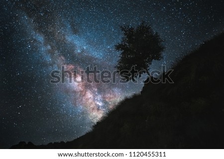 The starry sky is a milky way and a mountain slope with a tree. Night landscape