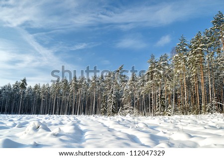 Snow covered sunny winter landscape panorama