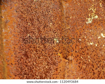 orange texture background                               