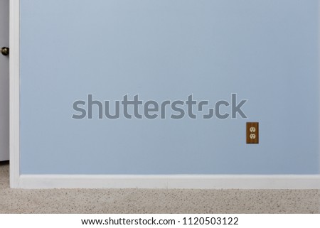 Empty blue textured wall with white trim and carpet