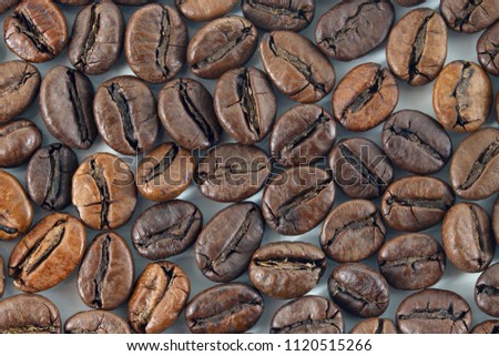 coffee beans on white background
