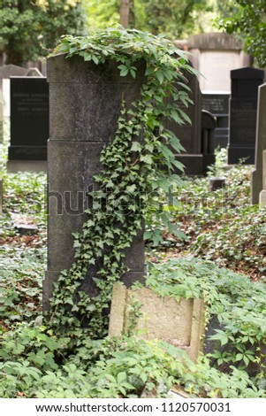 Detail of the Tombstone from the Prague Jewish Cemetery, Czech Republic