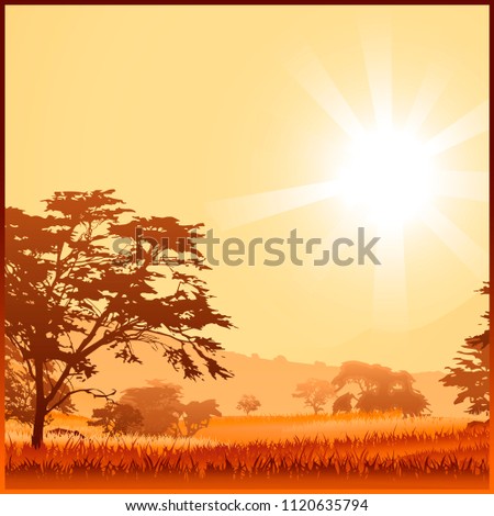 African savannah, grass and trees. Warm sun. Equator. Square composition. Detailed landscape