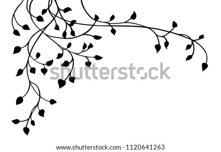 ivy vine silhouette vector, elegant black floral decorative border or corner design element of leaves in pretty layout, wedding invitation decoration isolated on white background