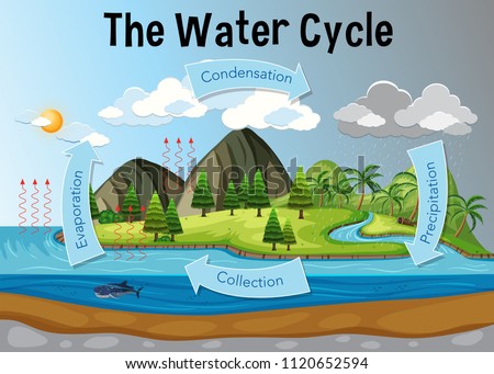 The water cycle diagram illustration