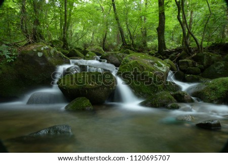 Green moss on rocks and Small waterfall