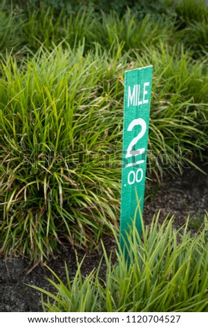 Close up on a 2 mile mark post along a public trail, with a plant background and space for text on left