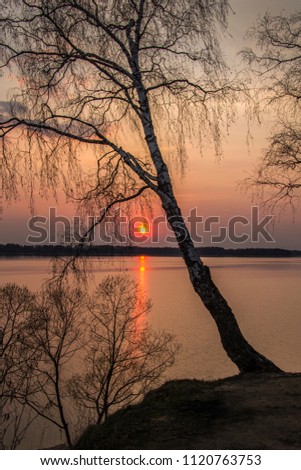 Beautiful scenery, sunset on the shore of the lake and birch on this background