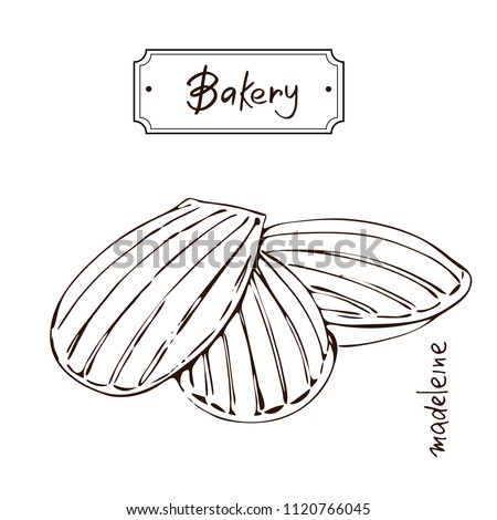 Bakery products hand drawing Madeleine