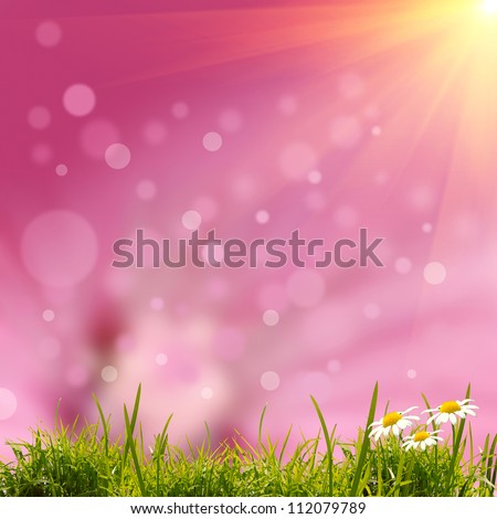 green grass on the pink background