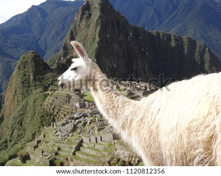 Machu Picchu travel destination