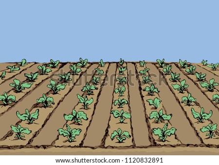 Eco green early lush raw soy bush flora culture sow on tillage furrow mulch patch on blue sky background. Bright color hand drawn yield scene sketch in retro doodle cartoon style with space for text Royalty-Free Stock Photo #1120832891