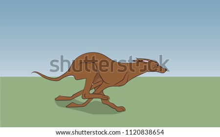 dog running, color, vector, Outdoors
