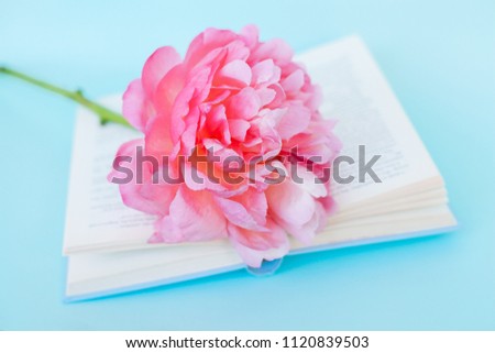 Peony flower and light blue book on blue background