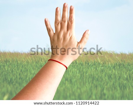 Double exposure of one woman hand touching a field in springtime Royalty-Free Stock Photo #1120914422