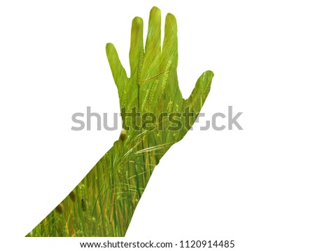 Double exposure of one woman hand touching a field in springtime