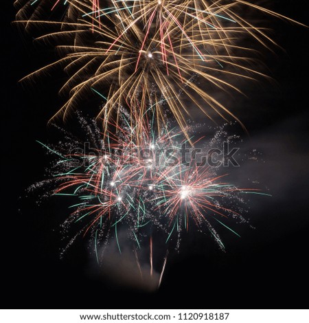 Colorful fireworks in the night sky