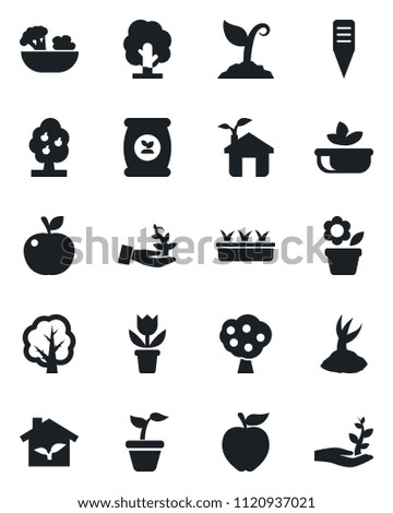 Set of vector isolated black icon - flower in pot vector, seedling, tree, sproute, plant label, fertilizer, fruit, salad, apple, eco house, palm