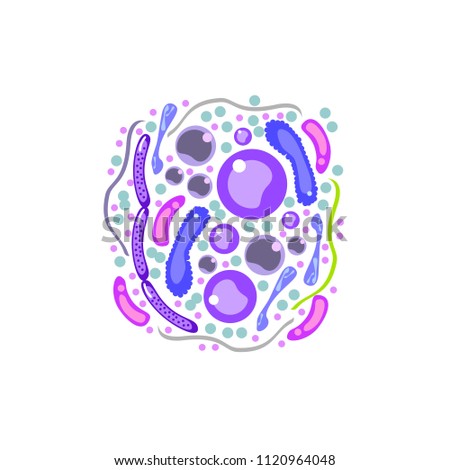 Bacteria and germs colorful set, micro-organisms disease-causing objects, different types, bacteria, viruses, fungi, protozoa. Vector flat style cartoon illustration isolated
