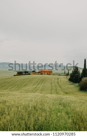 Tuscany House in Green