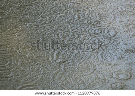Rain drops rippling on the ground,  Art of water  circle with shade. (select focus)