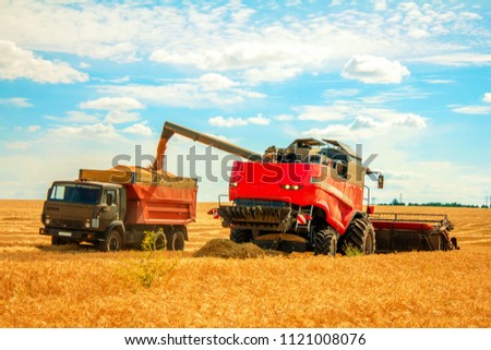 grain harvester  pouring grain into the truck on wheat field Royalty-Free Stock Photo #1121008076