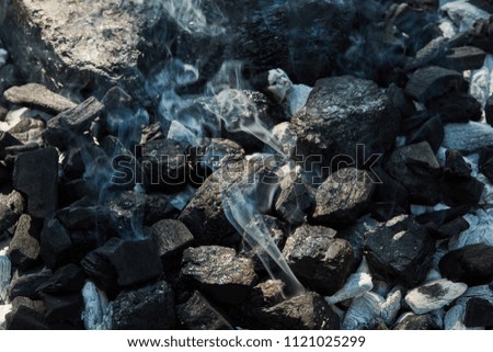 Orange wild fire on black coal prepared for barbecue grill