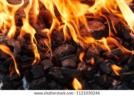 Orange wild fire on black coal prepared for barbecue grill
