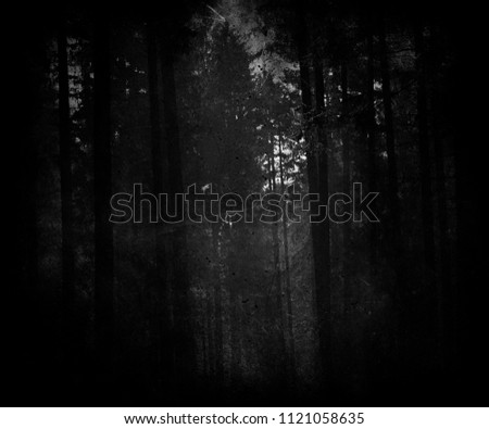 Spooky dark horror forest, halloween nature wallpaper
