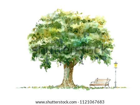 Oak, bench and lantern.Deciduous tree. Watercolor hand drawn illustration.White background.