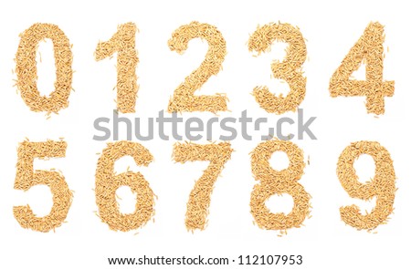number, alphabet,Letter from Paddy rice on white