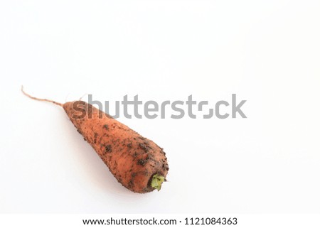 Carrots with soil