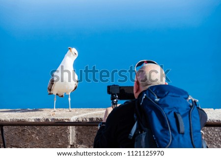 Man taking a bird picture with his cellphone