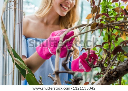 cropped shot of smiling young woman in pink rubber gloves working with plants in greenhouse
