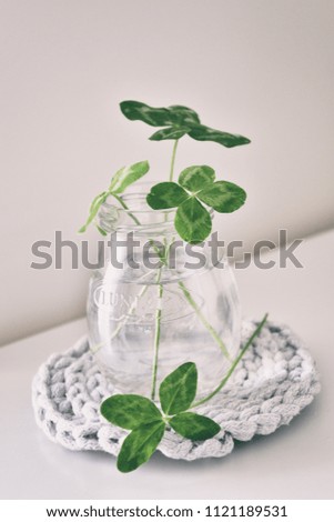 a bouquet of beautiful field four-leaf clovers in a small vase on a light smooth background