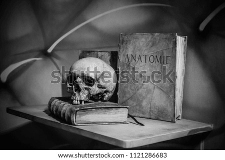 The book and skull are on the table. The science of anatomy.