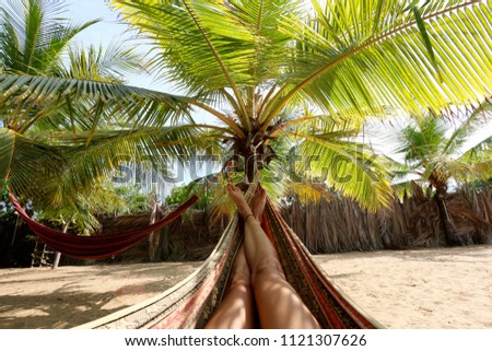 Relax in hammock under the palm tree