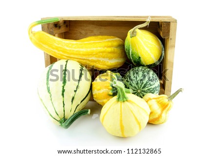 Different types of gourds in a wooden crate. On a white background.