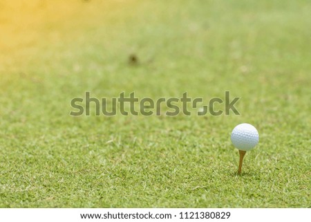 The golf ball is placed on a green lawn. Ready for play