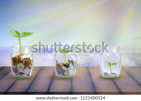 The coins and  plant in bottle on sky background. The plant is grown by the coins in the bottle on old wood. The concept of growth for the save money.