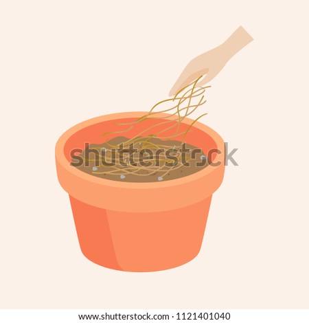 Seeds in a pot are Growing up is a soft shoot vector
