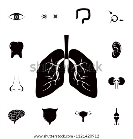 human lungs icon. Detailed set of Human parts icons. Premium quality graphic design sign. One of the collection icons for websites, web design, mobile app on colored background