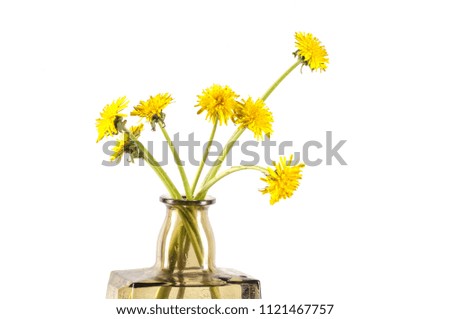 Dandelion flowers are a rich source of vitamins, minerals, and it even has antioxidants. has a long list of powerful healing abilities, as well as other health benefits. this is a useful plant.